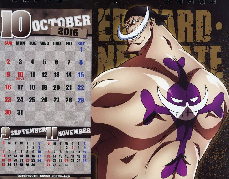 One Piece - Body Calendar 2016