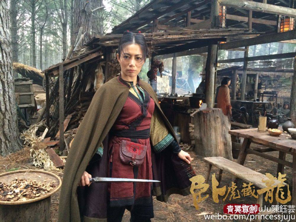 Crouching Tiger Hidden Dragon II: The Green Destiny《卧虎藏龙之青冥宝剑》 2016 part9