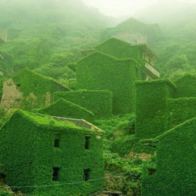 หมู่บ้านชาวประมงจีนบนเกาะ Goqui ถูกทิ้งร้างต้นไม้ใบหญ้าปกคลุมจนเขียวขจี