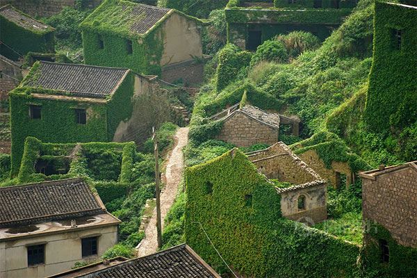 หมู่บ้านชาวประมงจีนบนเกาะ Goqui ถูกทิ้งร้างต้นไม้ใบหญ้าปกคลุมจนเขียวขจี