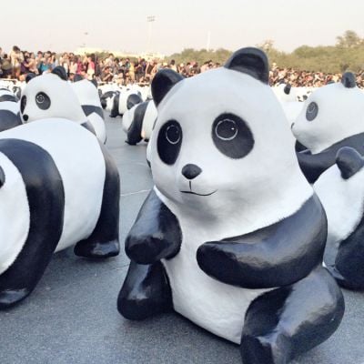 เก็บภาพบรรยากาศ  1,600 Pandas+ World Tour in Thailand  วันนี้วันแรก ที่บริเวณมณฑลพิธีท้องสนามหลวงมาให้ชมกันครับ