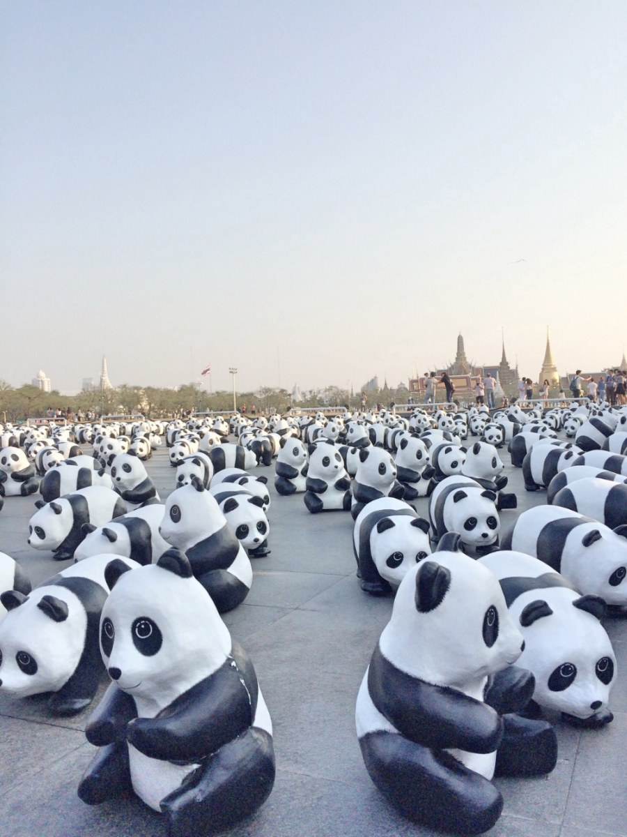 เก็บภาพบรรยากาศ "1,600 Pandas+ World Tour in Thailand" วันนี้วันแรก ที่บริเวณมณฑลพิธีท้องสนามหลวงมาให้ชมกันครับ