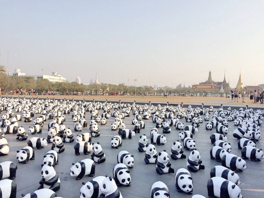 เก็บภาพบรรยากาศ "1,600 Pandas+ World Tour in Thailand" วันนี้วันแรก ที่บริเวณมณฑลพิธีท้องสนามหลวงมาให้ชมกันครับ