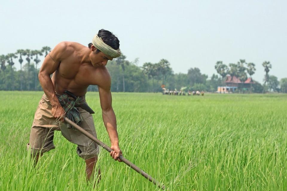 ดาราชายที่หล่อเซ็กซี่ 804