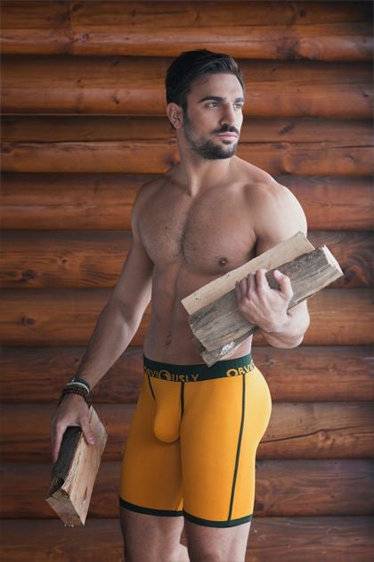 Obviously Underwear : Lumber collection