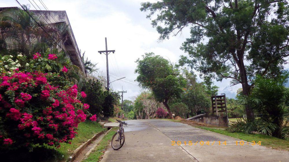 ถนนหน้าอาคารเรียน หอประชุม