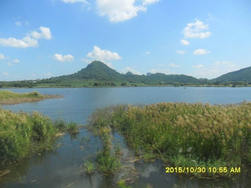 ริมทางรถไฟสายบ้านพลูตาหลวง