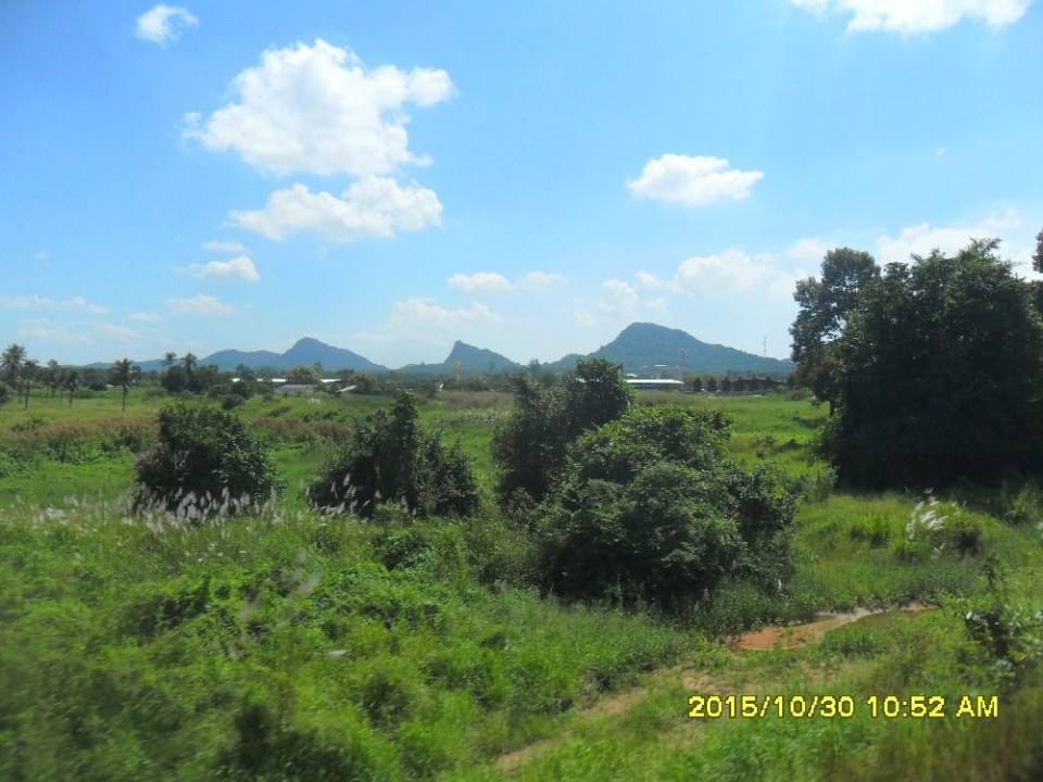 ริมทางรถไฟสายบ้านพลูตาหลวง