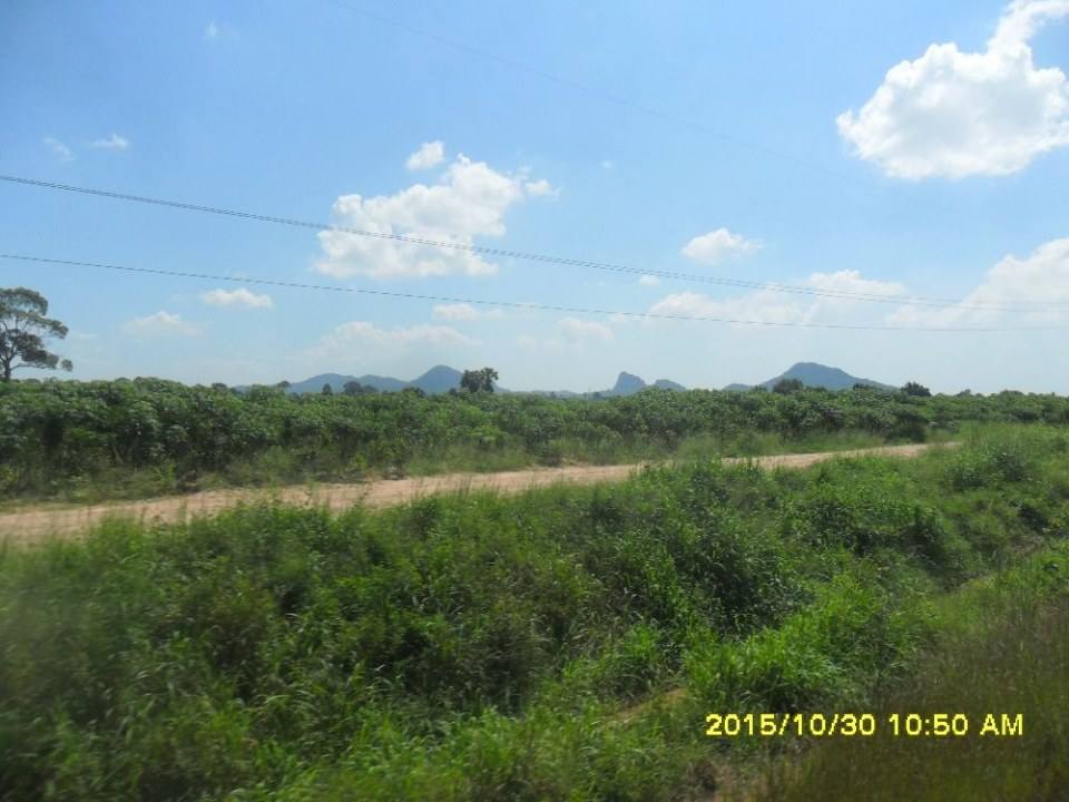 ริมทางรถไฟสายบ้านพลูตาหลวง