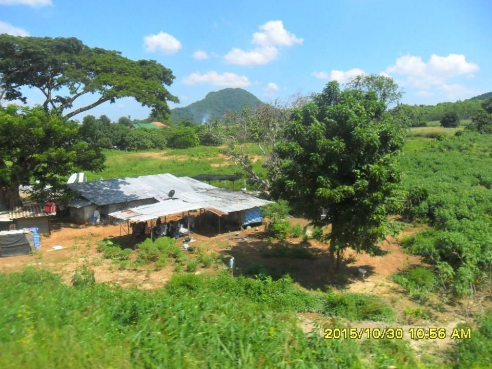 ริมทางรถไฟสายบ้านพลูตาหลวง