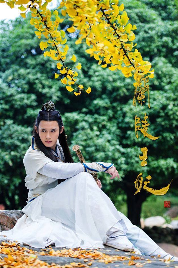 Princess Of Lan Ling King 《兰陵王妃》2014 part39