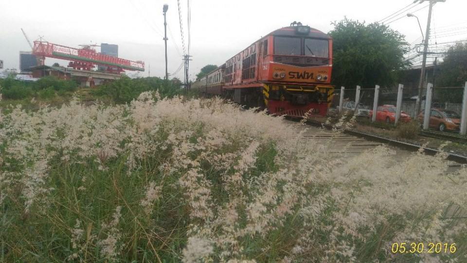 สถานีรถไฟชุมทางบางซื่อ