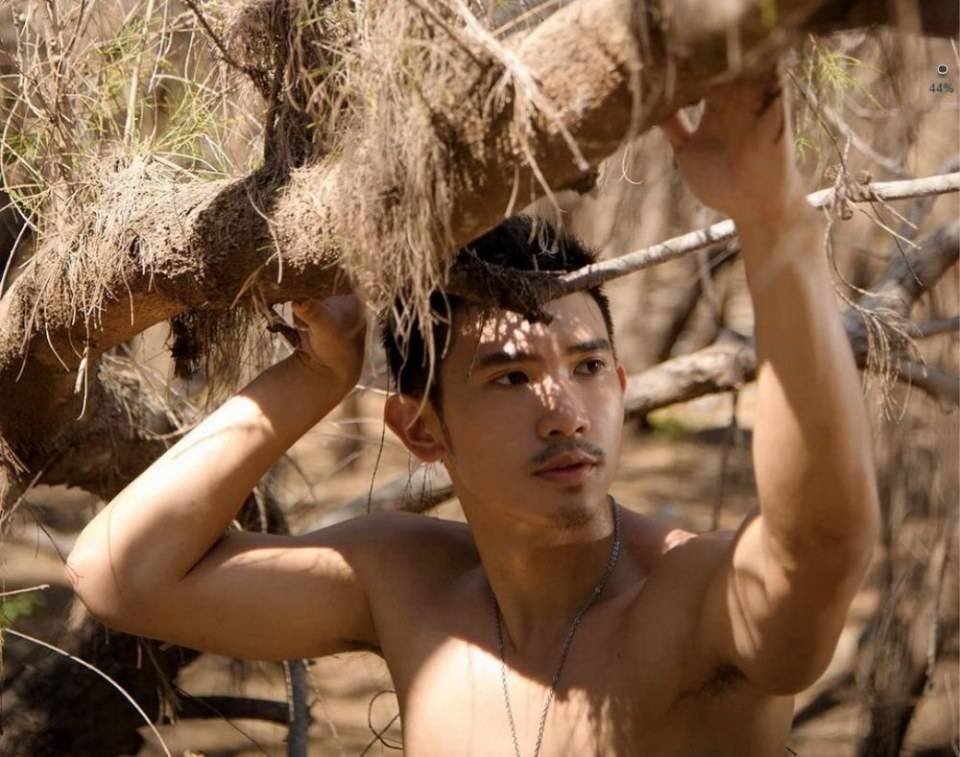 ยาบำรุงหัวใจ # 7