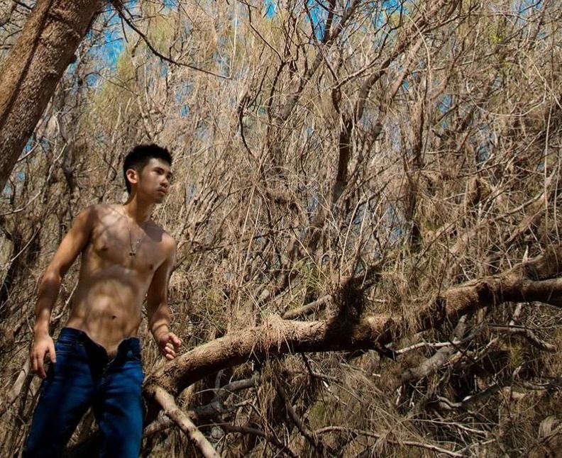 ยาบำรุงหัวใจ # 7