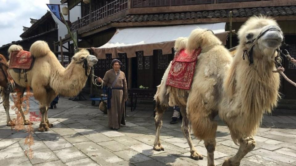 มังกรหยก 2016 The Legend of the Condor Heroes 《射雕英雄传》 2016 part52