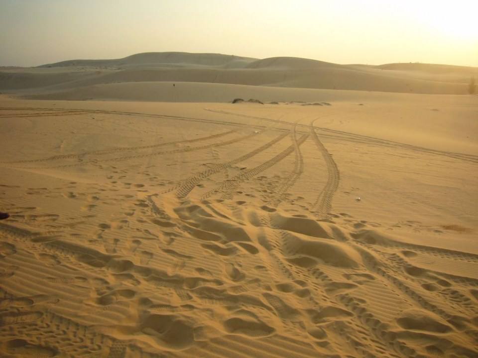 ทะเลทราย....