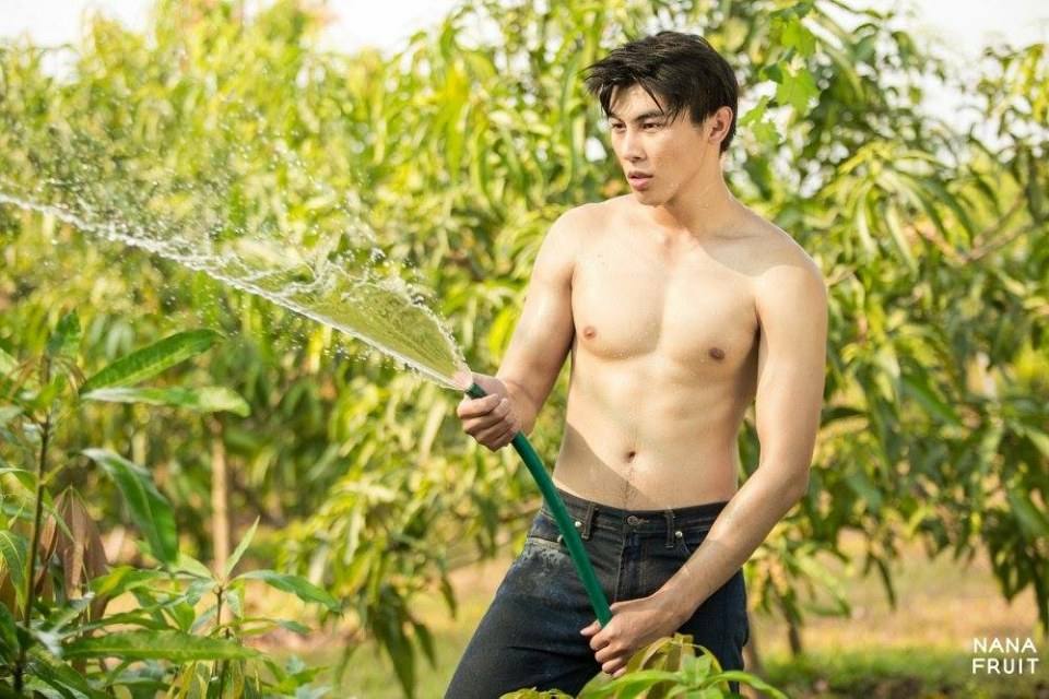 ทำสวนหน้าร้อน