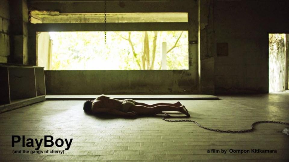 PlayBoy (and the gangs of cherry)