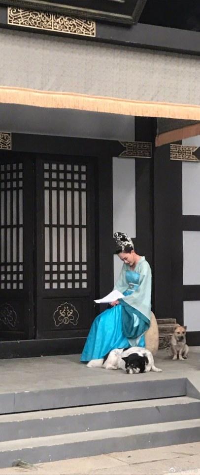 The Empress Du Gu 《独孤皇后》 2017 part10