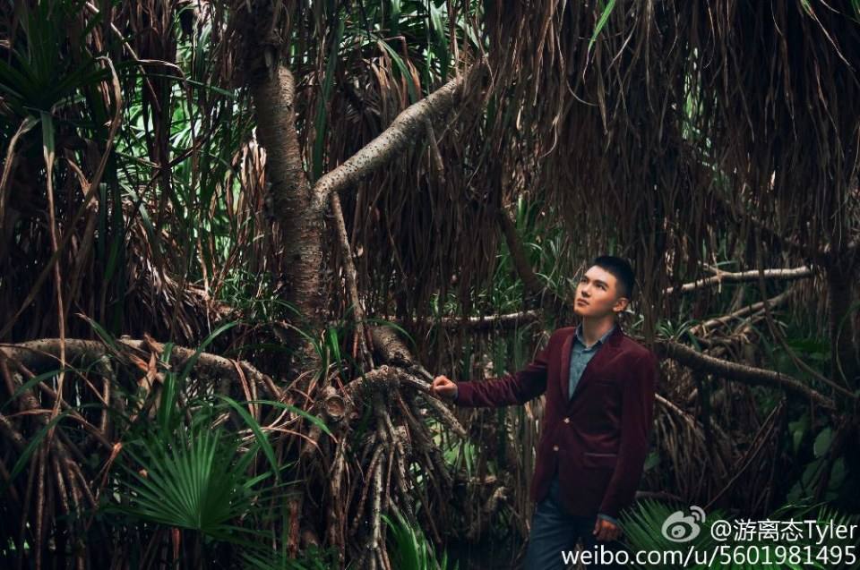 สีสันเสียว