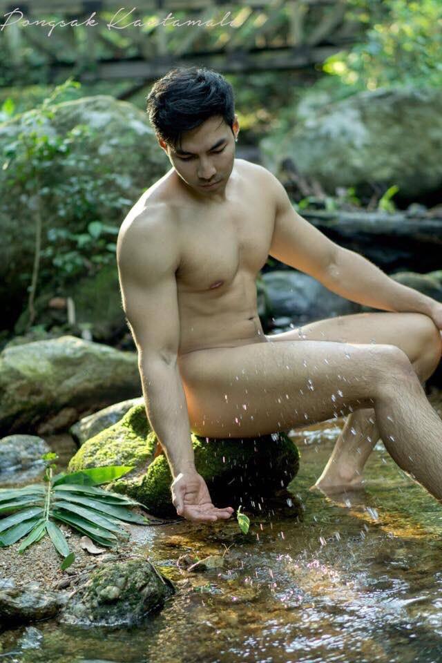 หมีแน่นๆ