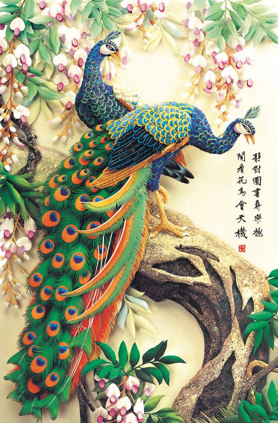 ตระการตา “ภาพวาดนกยูง” ผ่านปลายพู่กันจีน