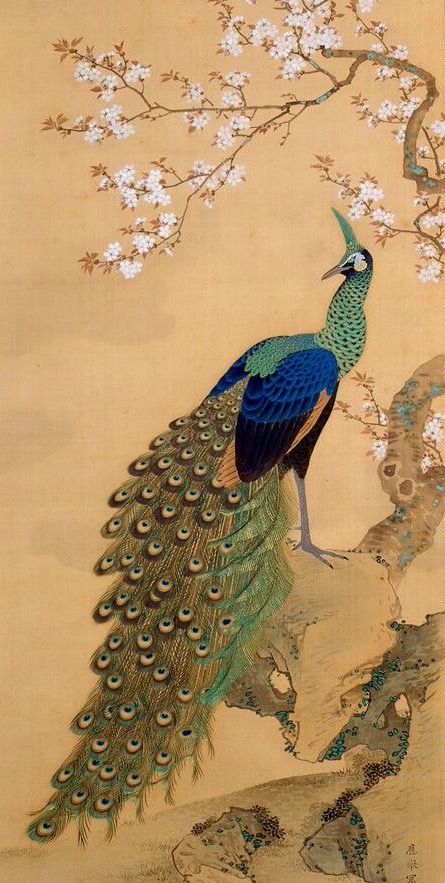 ตระการตา “ภาพวาดนกยูง” ผ่านปลายพู่กันจีน