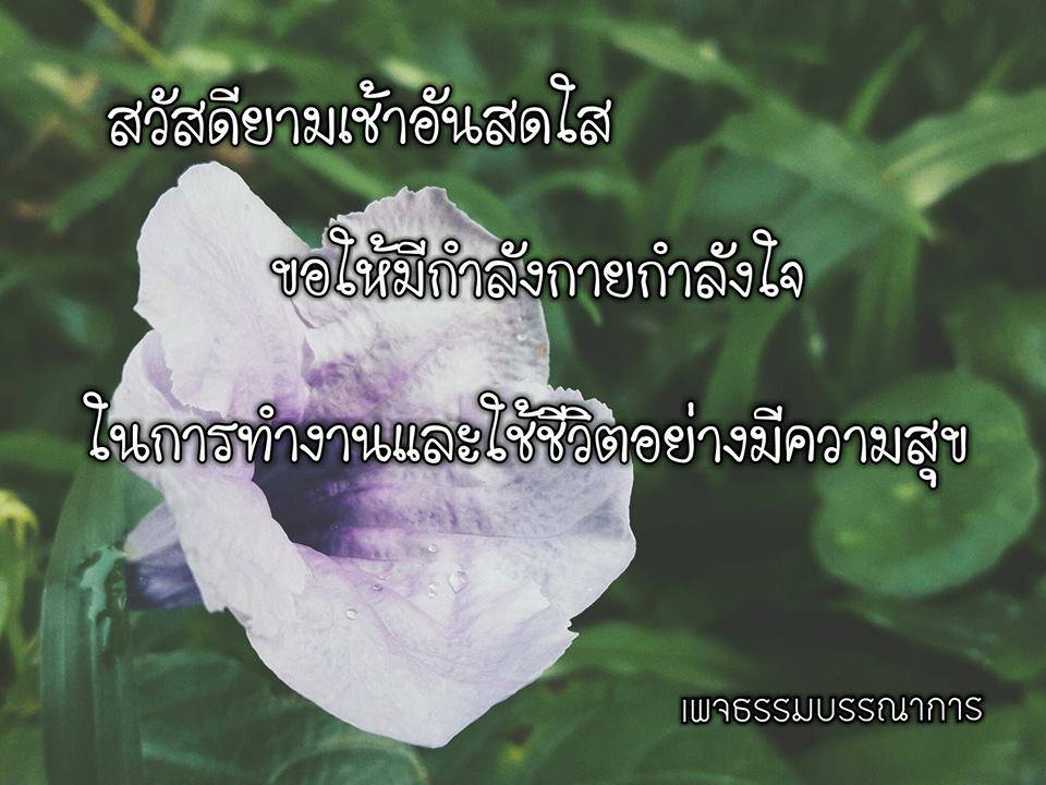 ข้อคิด คำคม คติเตือนใจ