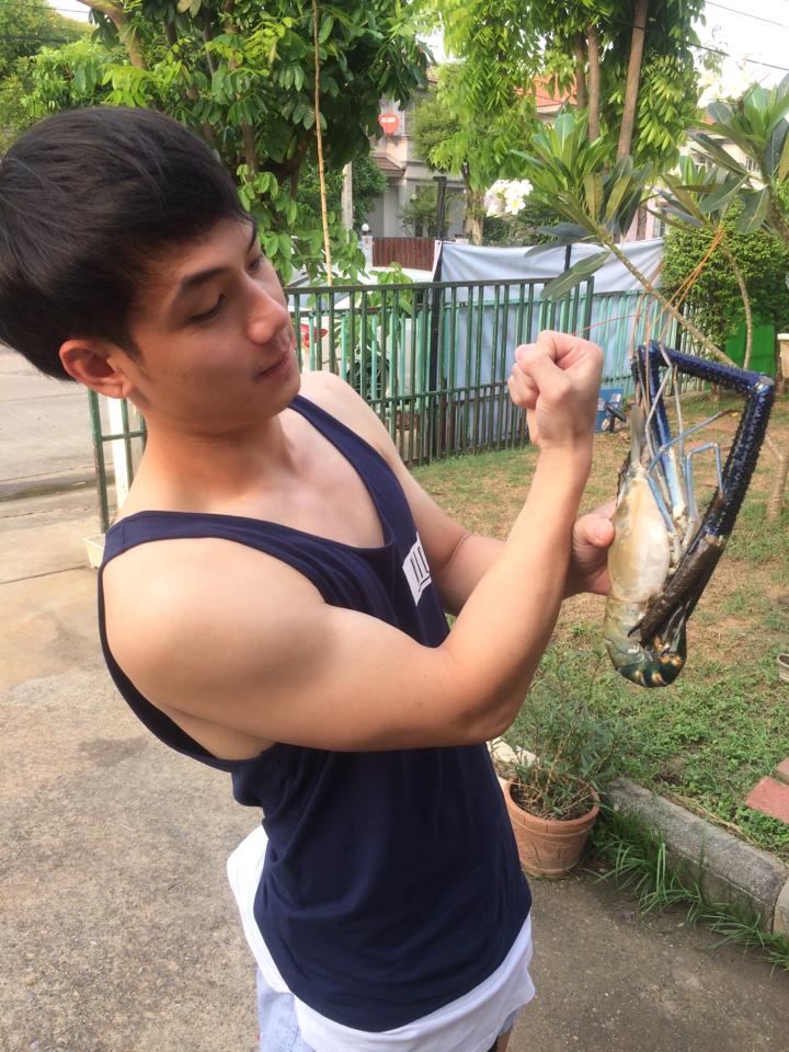 ดาราวัยรุ่น 2,394