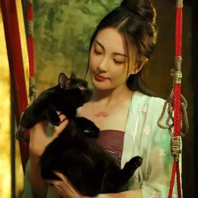 Movie Legend Of The Demon Cat 《妖猫传》 2017