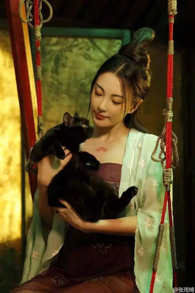 Movie Legend Of The Demon Cat 《妖猫传》 2017