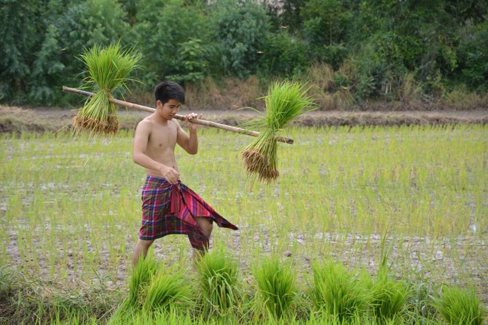 เลือกสามีที่เอาการเอางานนะคะ จำไว้ 2,452