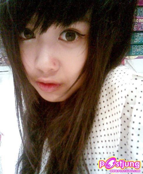 ต้นปามล์