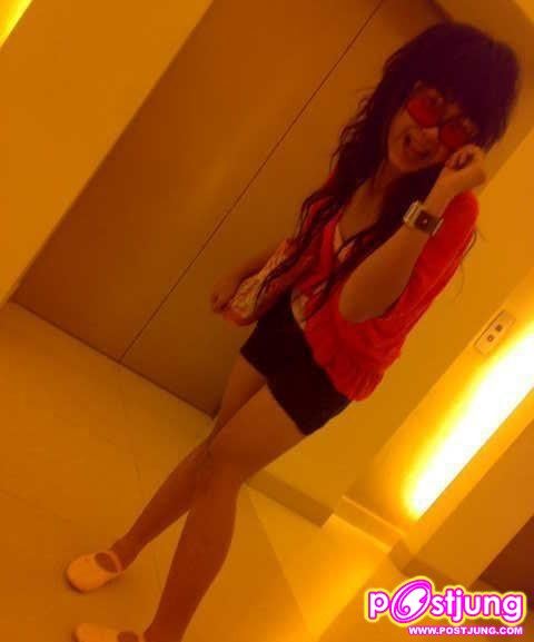 ต้นปามล์