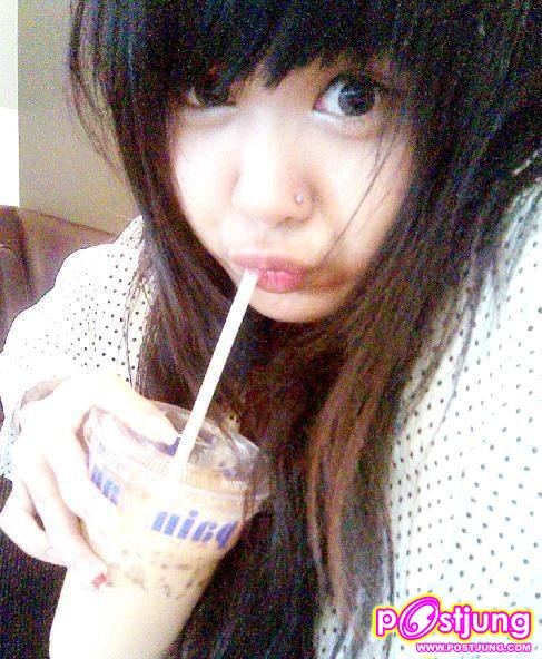 ต้นปามล์