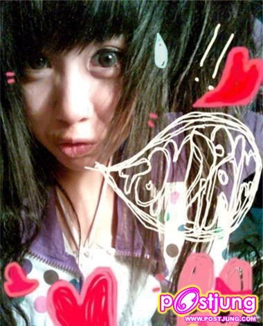 ต้นปามล์