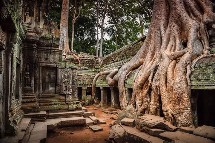 Nature win ธรรมชาติชนะทุกสิ่ง