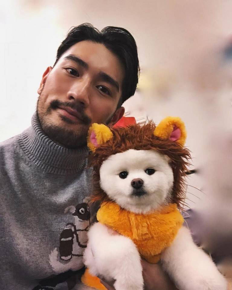 สามีgodfreygao2