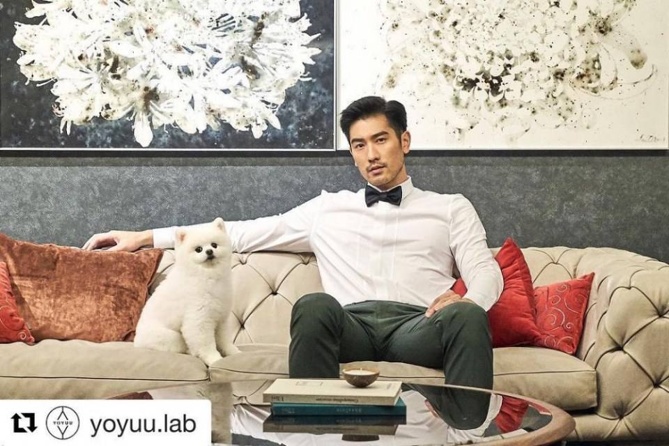 สามีgodfreygao3