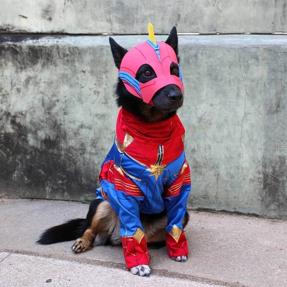 มะหมา Superhero