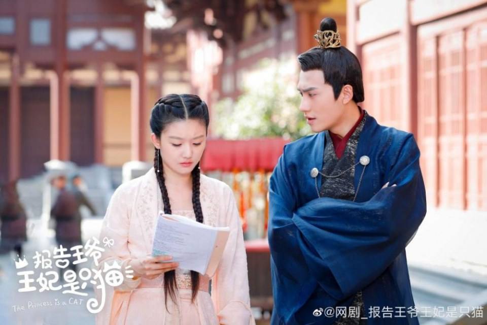 ละคร องค์หญิงแมวเหมียว The Princess is a Cat 《报告王爷王妃是只猫》 2019