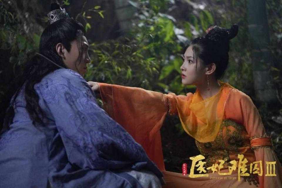 ละคร Princess at large 3 《医妃难囚 第三季》 2020