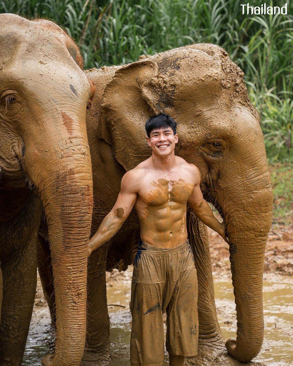 THAILAND 🇹🇭 | All Elephant Home Phuket - ออลล์ เอลเลเฟ่นท์ โฮม ภูเก็ต