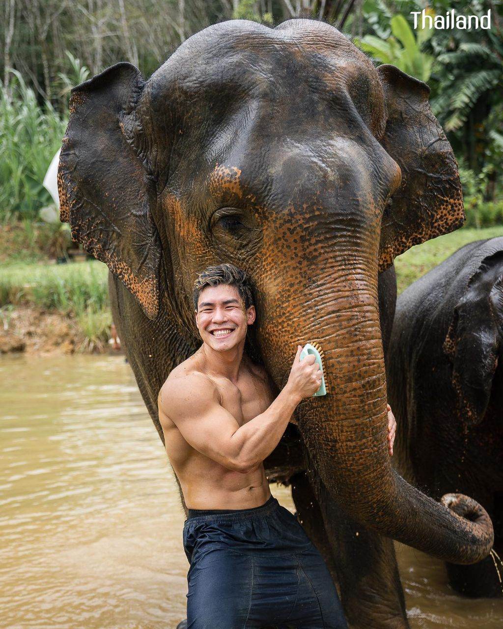 THAILAND 🇹🇭 | All Elephant Home Phuket - ออลล์ เอลเลเฟ่นท์ โฮม ภูเก็ต