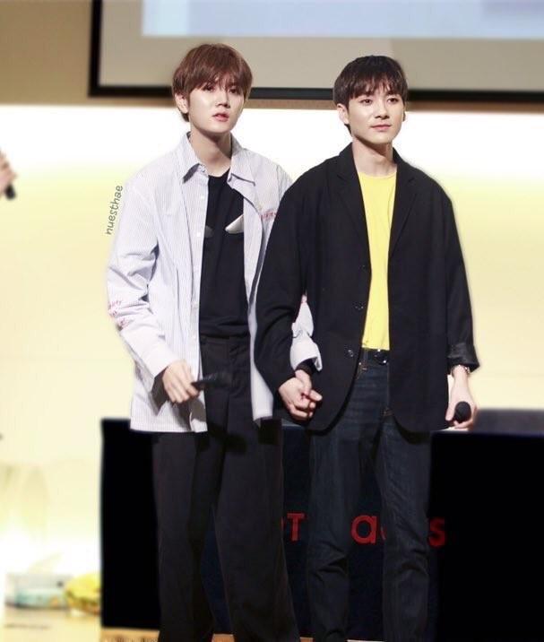 คู่ชิป RONREN/AREN