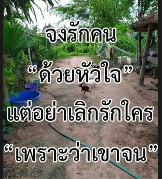 พุทธคือความทรงจำ ธรรมคือความในใจ