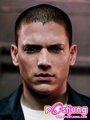 MICHAEL SCOFIELD