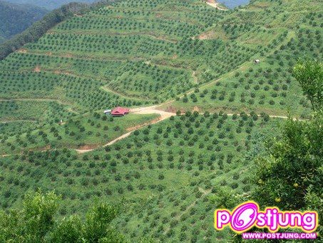 เหมือนทางเหนือเลย