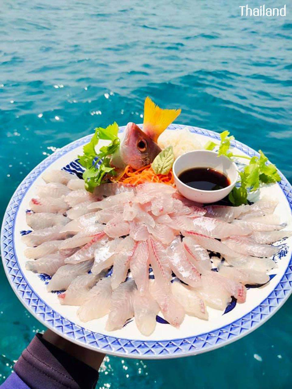 THAILAND  | Travel to the sea, eat fresh Sashimi
