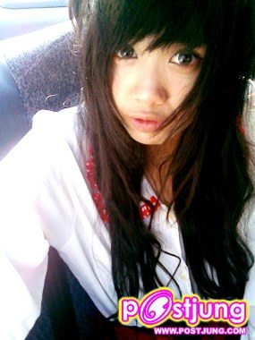 ต้นปาล์ม